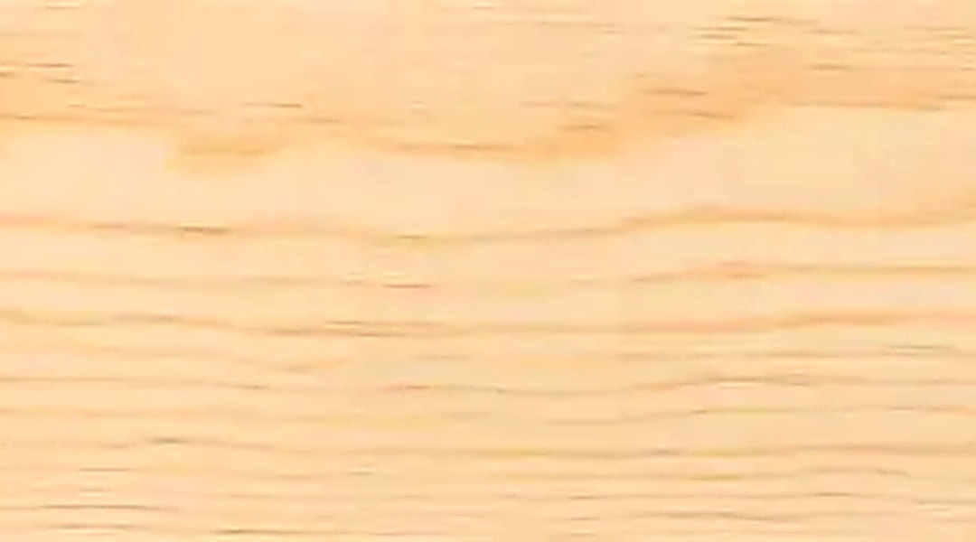 Ponderosa Pine softwood timber grain close-up