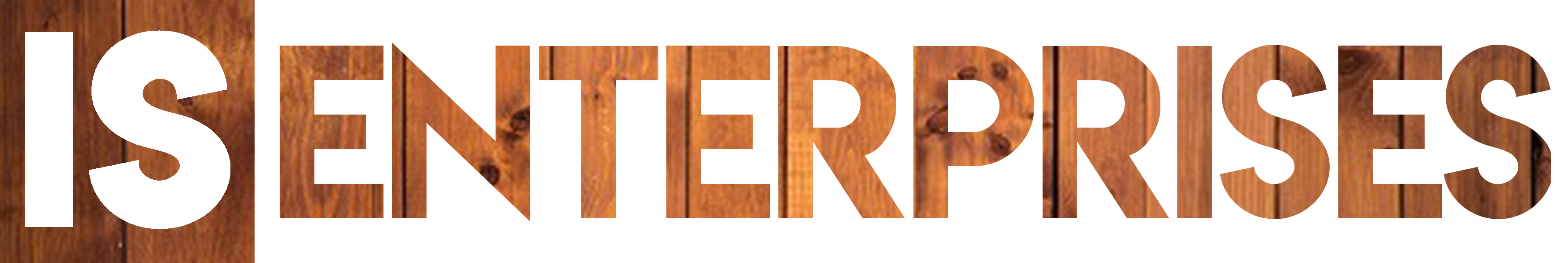 IS - Website Logo copypp2